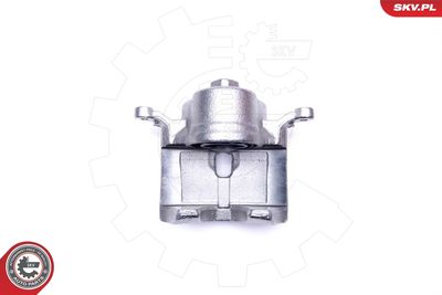 Brake Caliper 45SKV011