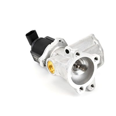 SUPAPA EGR DELPHI EG1064212B1 5