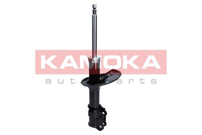 Shock Absorber 2000207