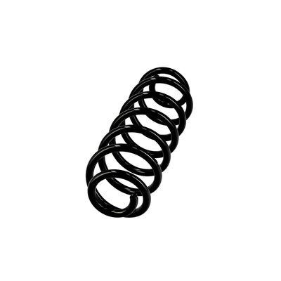 ARC SPIRAL EIBACH R10122 2
