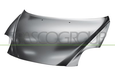 MOTORHAUBE PRASCO AA2103100