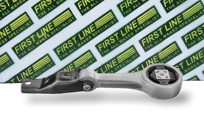 окачване, двигател FIRST LINE FEM3869
