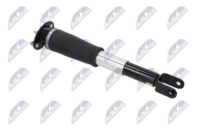 AMORTIZOR NTY ACH007 10