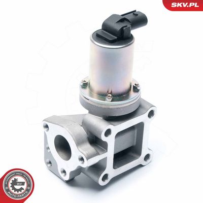 AGR - Ventil ESEN SKV 14SKV099