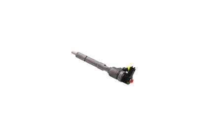 INJECTOR REMANTE 002003002124R 18