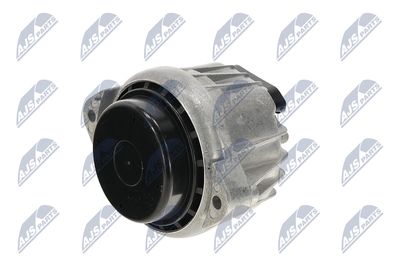 SUPORT MOTOR NTY ZPSBM009 25