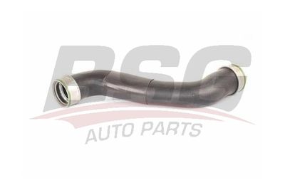 BSG BSG 60-720-231 Воздушный патрубок для MERCEDES-BENZ E-CLASS T-Model (S211) E 200 CDI (211.207) BSG BSG 60-720-231 Воздушный патрубок для MERCEDES-BENZ E-CLASS T-Model (S211) E 200 CDI (211.207)