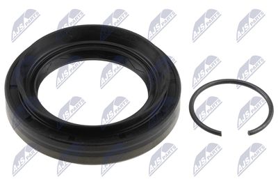 NTY Wellendichtring, Differential