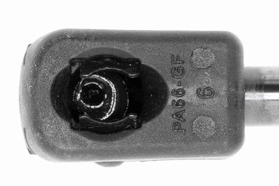 GASFEDER KOFFER-/LADERAUM VAICO V220207 1