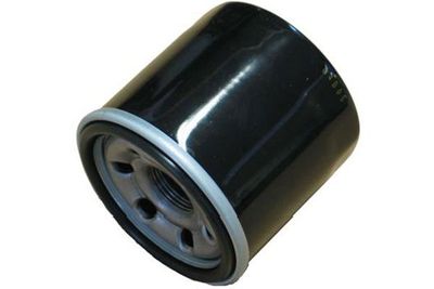 Kavo Parts Alyvos filtras