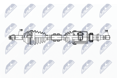 NPW-NS-167