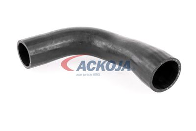 FURTUN EAR SUPRAALIMENTARE ACKOJA A389600 14