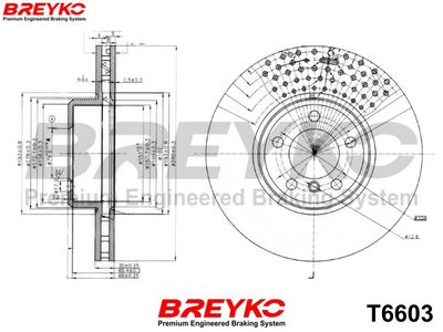 DISC FRANA DAVID VASCO T6603 4