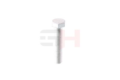 SURUB CAPAT DE AX GH GH392506 49