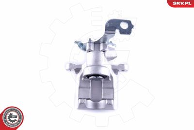 Brake Caliper 55SKV473