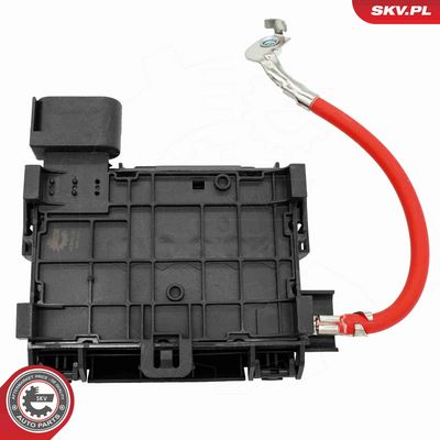 CUTIE CU SIGURANTE ESEN SKV 96SKV325 2