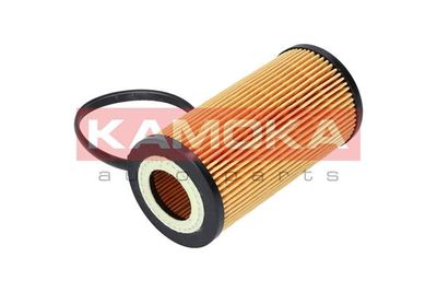 Oil Filter F110501