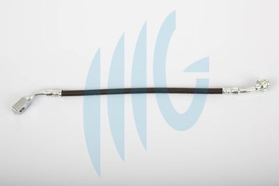 Тормозной шланг RICAMBIFLEX GM 02100789 для FORD MAVERICK