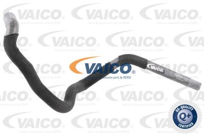 VAICO Radiateurslang Q+, original equipment manufacturer quality (V30-2419)