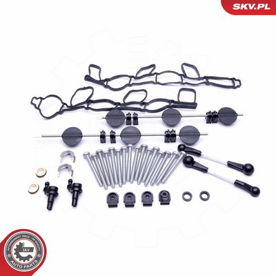 Remonto komplektas, įsiurbimo kolektoriaus modulis