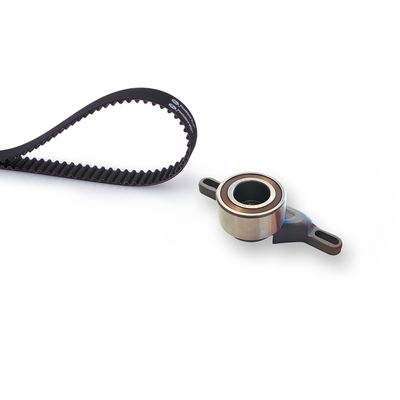 Timingset (riem+pulley)