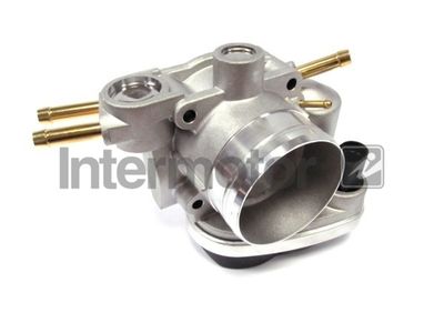 Throttle Body Intermotor 68213