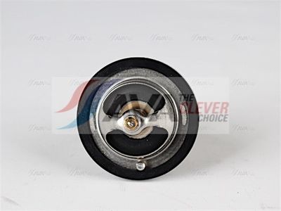 TERMOSTAT LICHID RACIRE AVA Clever Choice MZTS001 1