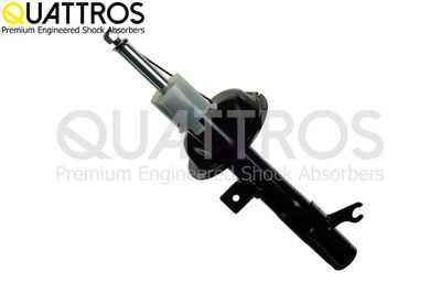 AMORTIZOR DAVID VASCO FL3710 1