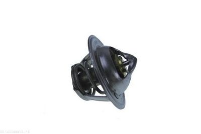 TERMOSTAT LICHID RACIRE