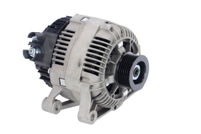 GENERATOR / ALTERNATOR REMANTE 011003000010R 49