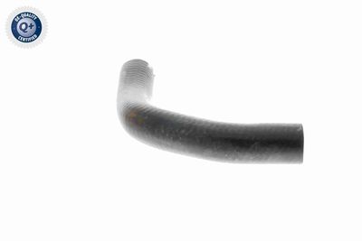 FURTUN EAR SUPRAALIMENTARE VAICO V240728 6