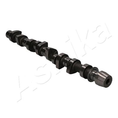 AX CU CAME ASHIKA 16TY008 1