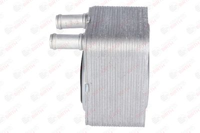 RADIATOR ULEI ULEI MOTOR BIRTH 8917 4