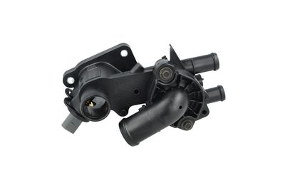 TERMOSTAT LICHID RACIRE NRF 725238 25