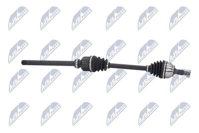 PLANETARA NTY NPWCT081 8