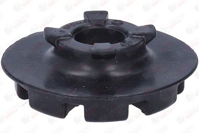 SAIBA ARC BIRTH 56763 11