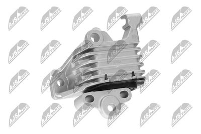 SUPORT MOTOR NTY ZPSCH138 31