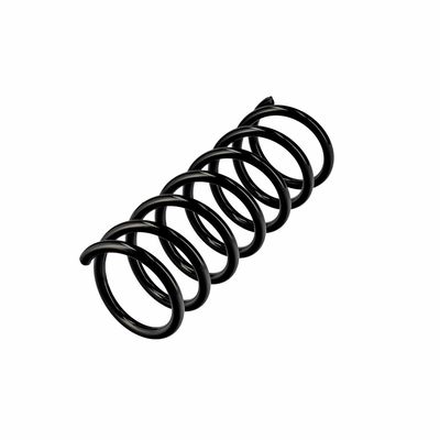 ARC SPIRAL EIBACH R10838 3