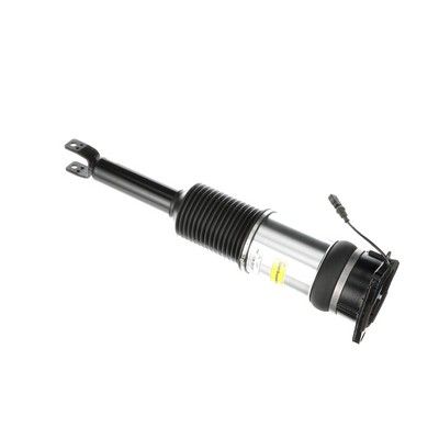 LUFTFEDERBEIN Arnott AS2966 54