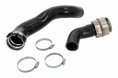 FURTUN EAR SUPRAALIMENTARE