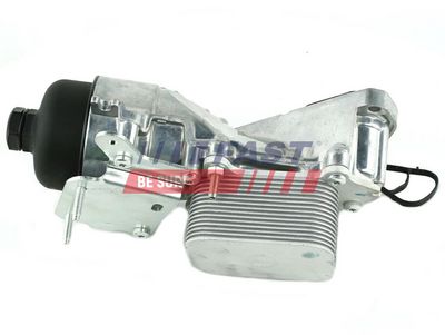 RADIATOR ULEI CUTIE VITEZE