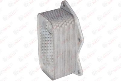 RADIATOR ULEI ULEI MOTOR BIRTH 80313 9