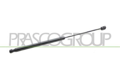 GASFEDER KOFFER-/LADERAUM PRASCO FT7159055