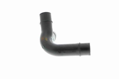 ÖLSCHLAUCH VAICO V109769 5