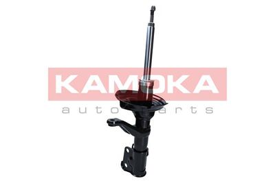 Shock Absorber 2000673