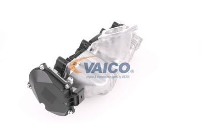 SAUGROHRMODUL VAICO V105268 30