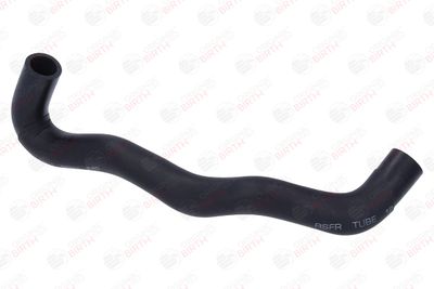 FURTUN ULEI BIRTH 56020 2