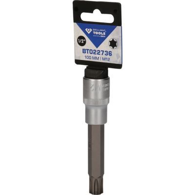 Brilliant Tools BT022736 Nástrčný ořech s bitem 1/2", RIBE, délka 100 mm, M12