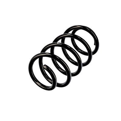 ARC SPIRAL EIBACH R10806 3