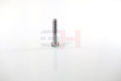 SURUB CAPAT DE AX GH GH392360 54